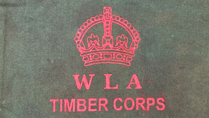WW2 WLA Timber Corps Arm Band - Image 3