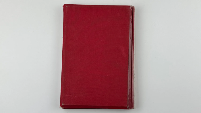 German 3D Photo Book Reimsparteitag der Ehre - Image 15