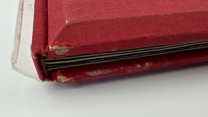 German 3D Photo Book Reimsparteitag der Ehre - Image 2