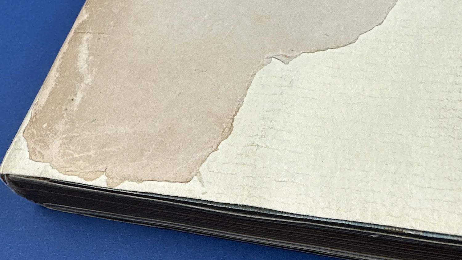 Detailed view of surface abrasion and paper loss on the back cover of Bureaucrats in Battledress