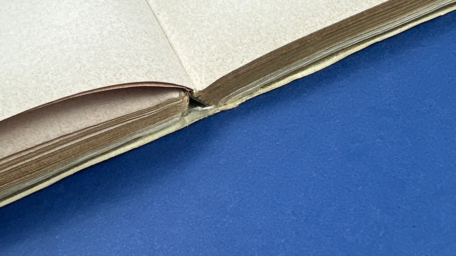 Close-up of spine area inside Bureaucrats in Battledress showing wear to the internal hinge and binding